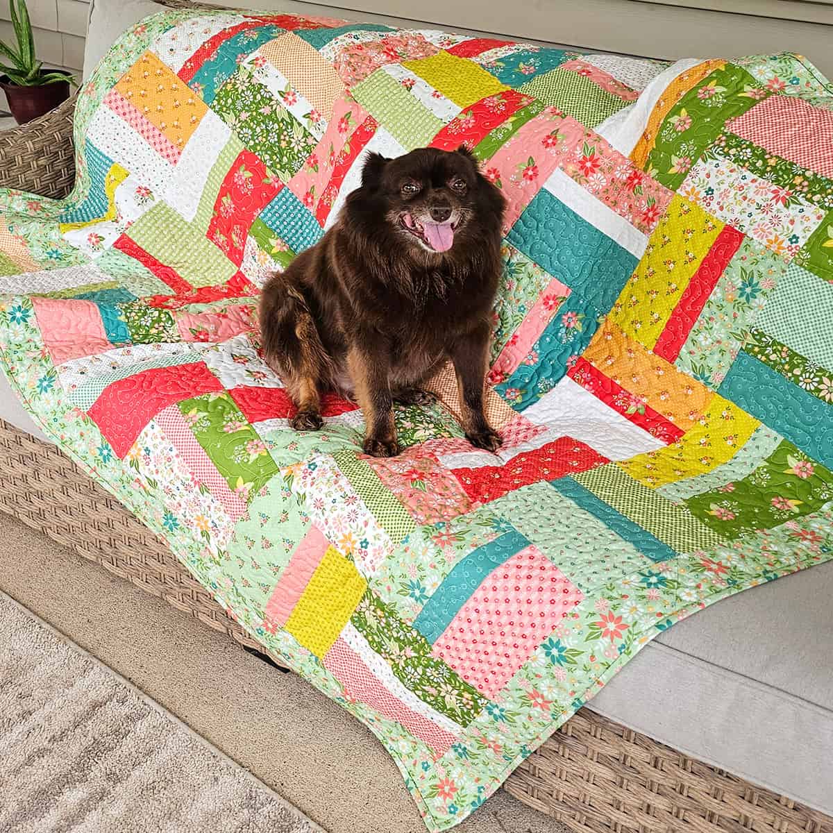 Dog sitting on a colorful patchwork quilt